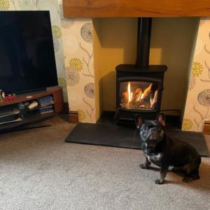 Gallery Fireplaces Dog next to Stove
